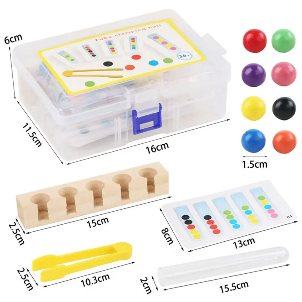 Montessori FineSkills™ - Jouet en Bois pour la Motricité Fine et Association des Couleurs