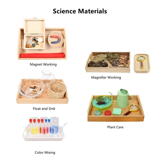 Atelier Sensoriel Scientifique Montessori 🌟 | Exploration des Phénomènes Naturels