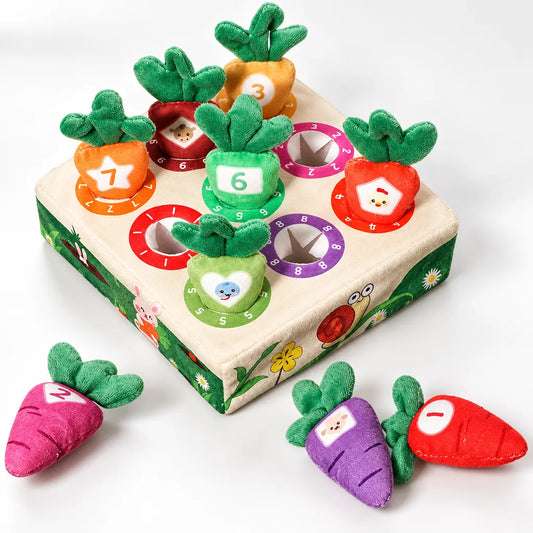 jeu association carottes peluche