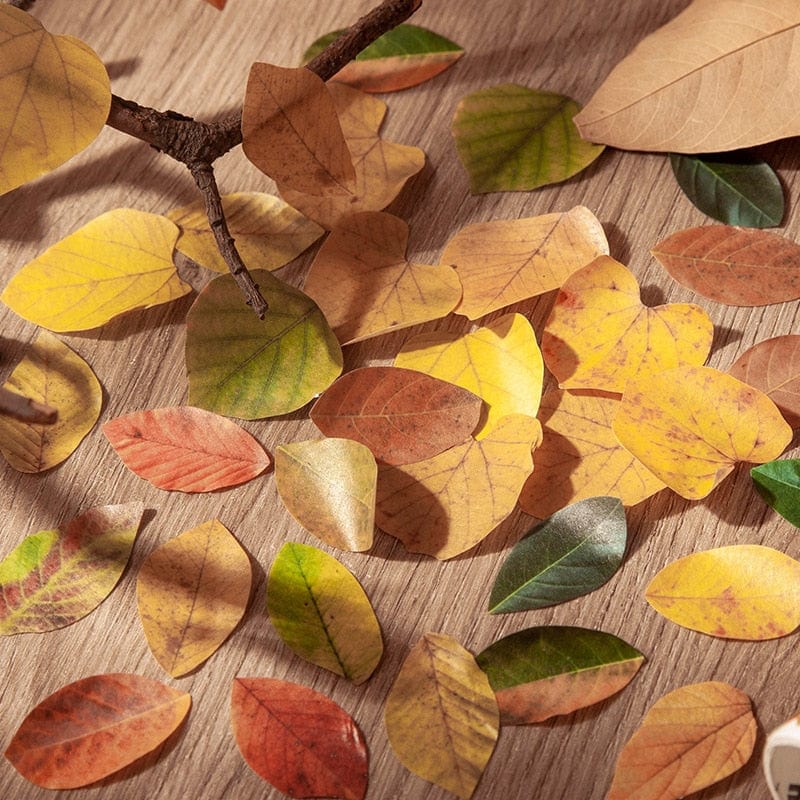 Lot d'autocollants Feuilles d'Automne en Washi Montessori Eco-Friendly