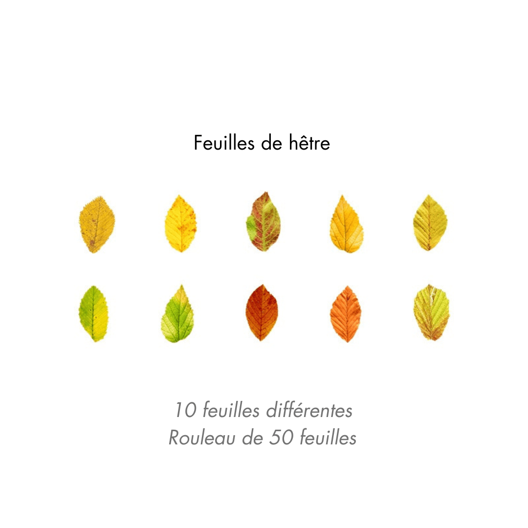 Lot d'autocollants Feuilles d'Automne en Washi Montessori Eco-Friendly