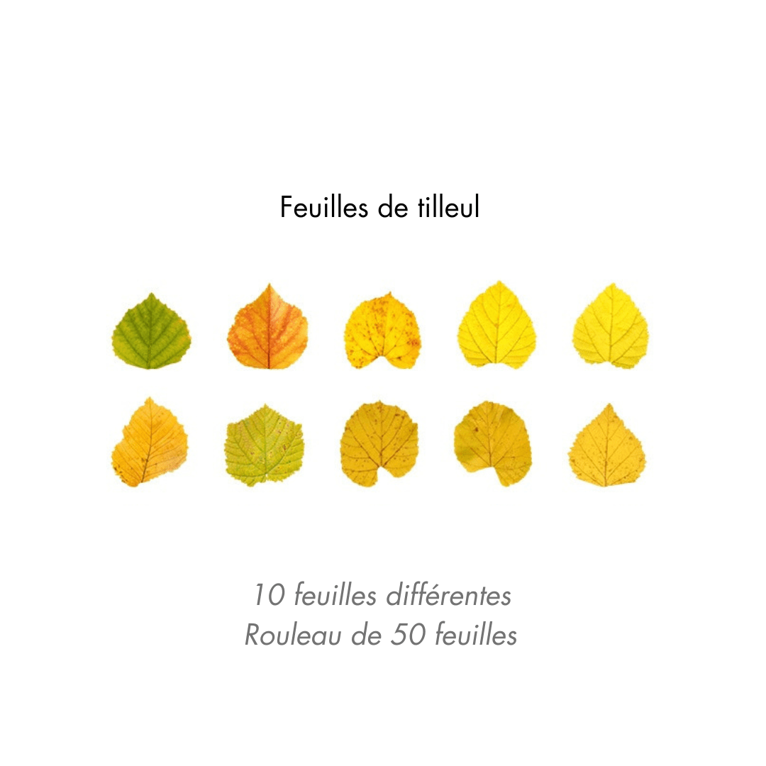 Lot d'autocollants Feuilles d'Automne en Washi Montessori Eco-Friendly