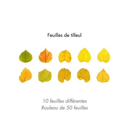 Lot d'autocollants Feuilles d'Automne en Washi Montessori Eco-Friendly