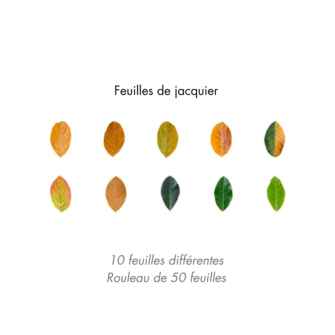Lot d'autocollants Feuilles d'Automne en Washi Montessori Eco-Friendly