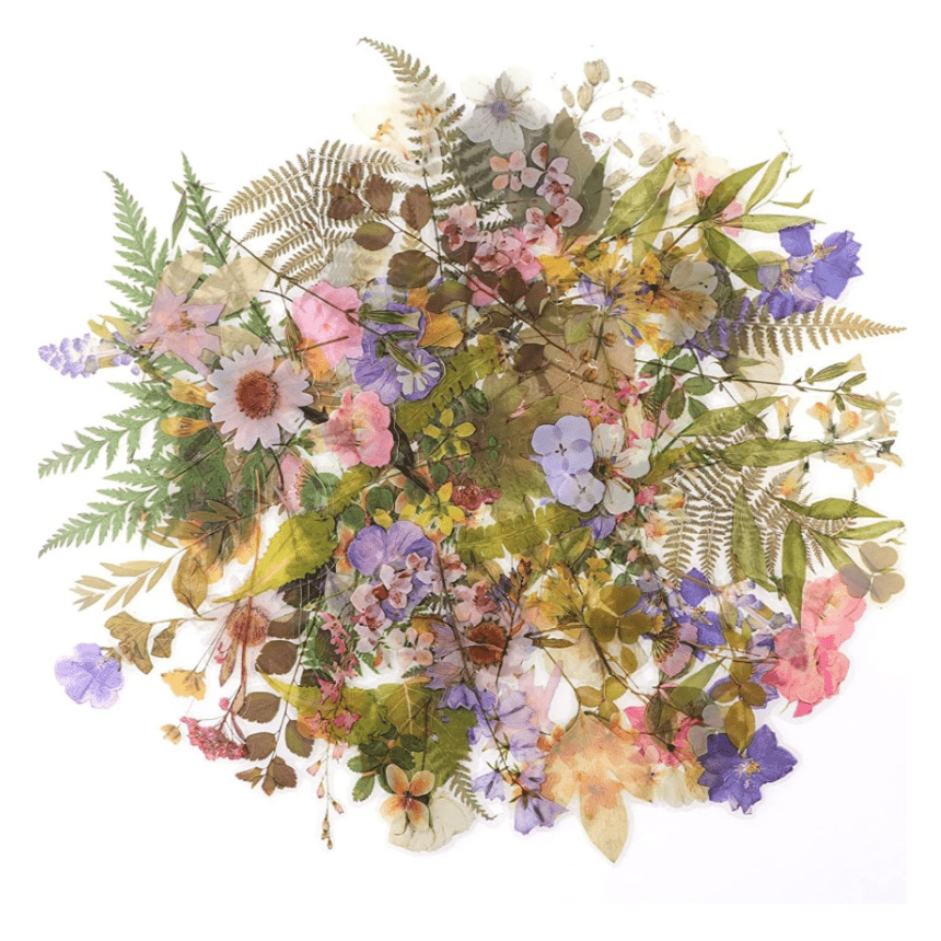 Lot d'Autocollants Floral & Végétal Montessori