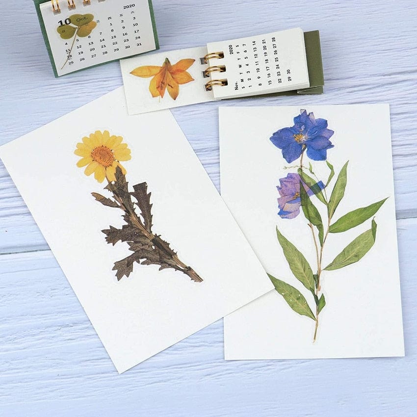 Lot d'Autocollants Floral & Végétal Montessori