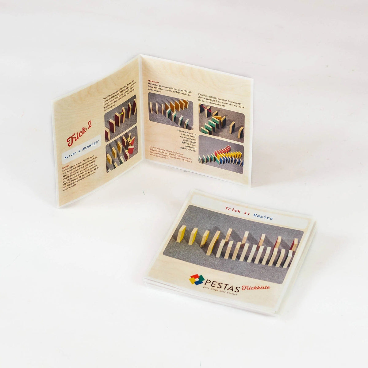 Lot de 24 Astuces Montessori Dominos