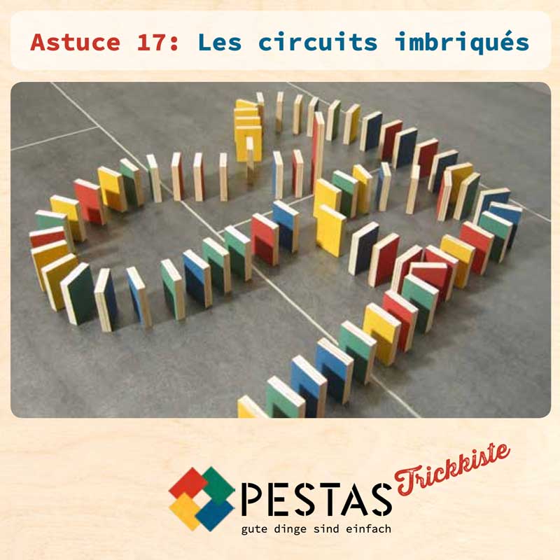 Lot de 24 Astuces Montessori Dominos