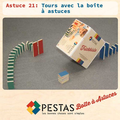 Lot de 24 Astuces Montessori Dominos