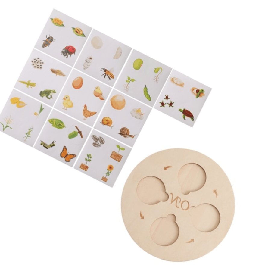 Puzzle en Bois Cycle de la Vie Plantes & Animaux Montessori