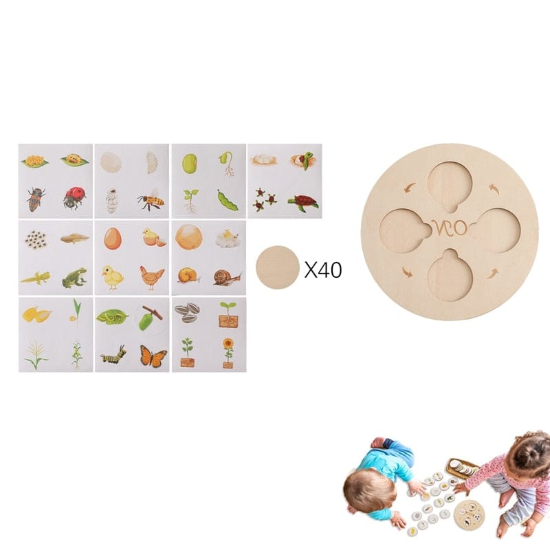 Puzzle en Bois Cycle de la Vie Plantes & Animaux Montessori