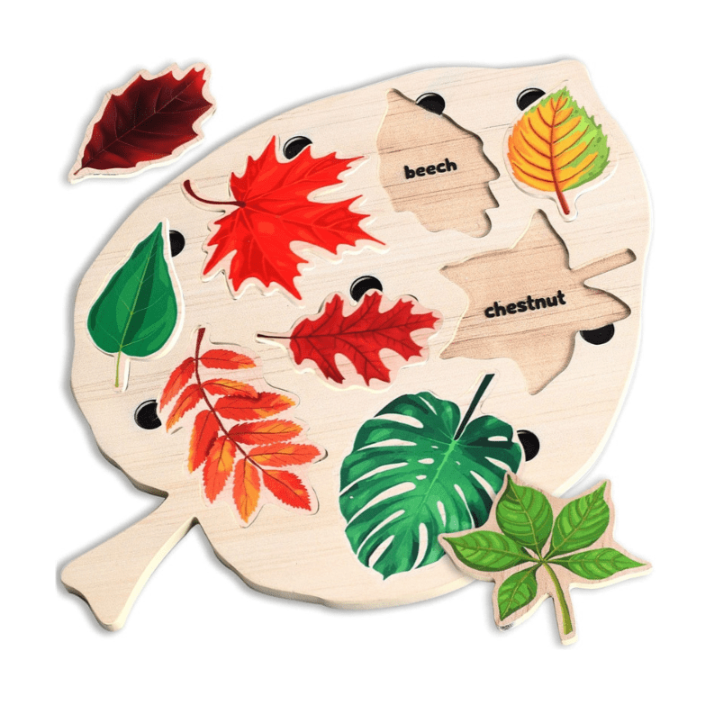 Puzzle en Bois d'Apprentissage Montessori Feuilles